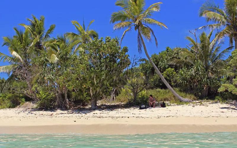 瓦努阿圖綠卡價格上漲多少？了解價格變動背后的原因與影響